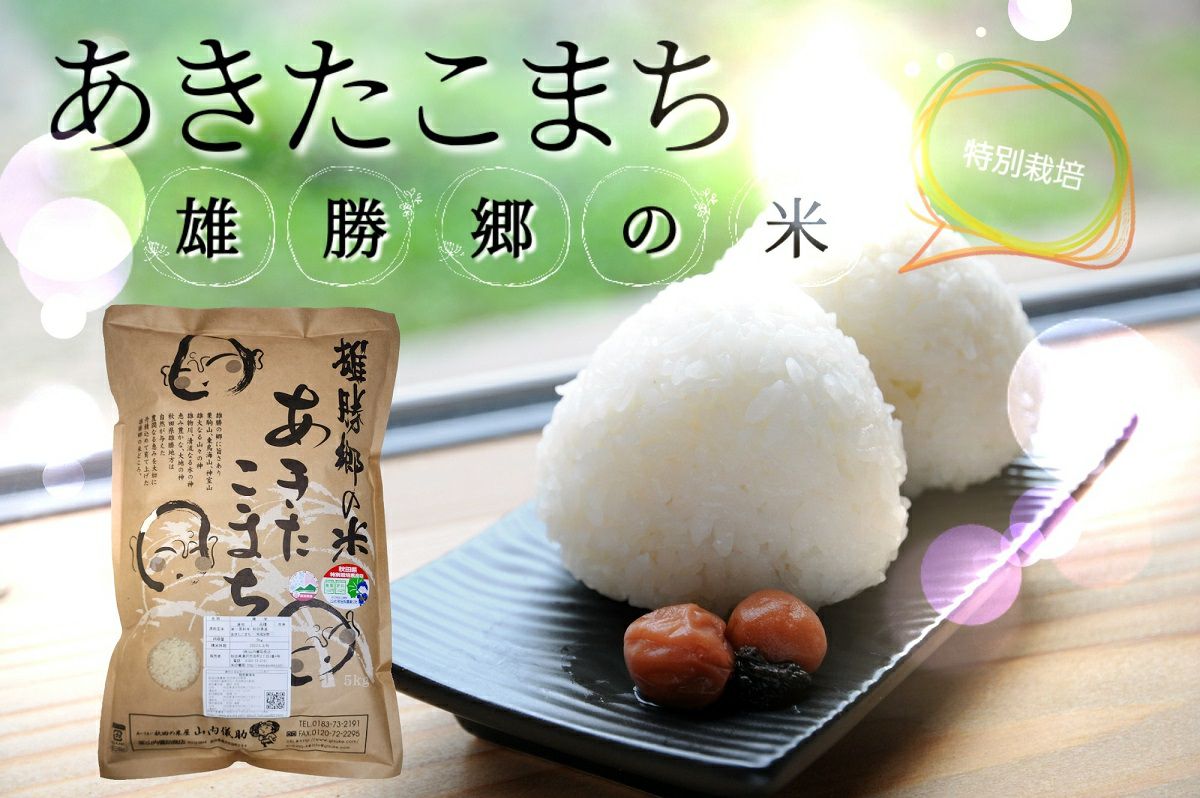 新米 農家直送 秋田県産 令和6年 あきたこまち 20kg 特別栽培米
