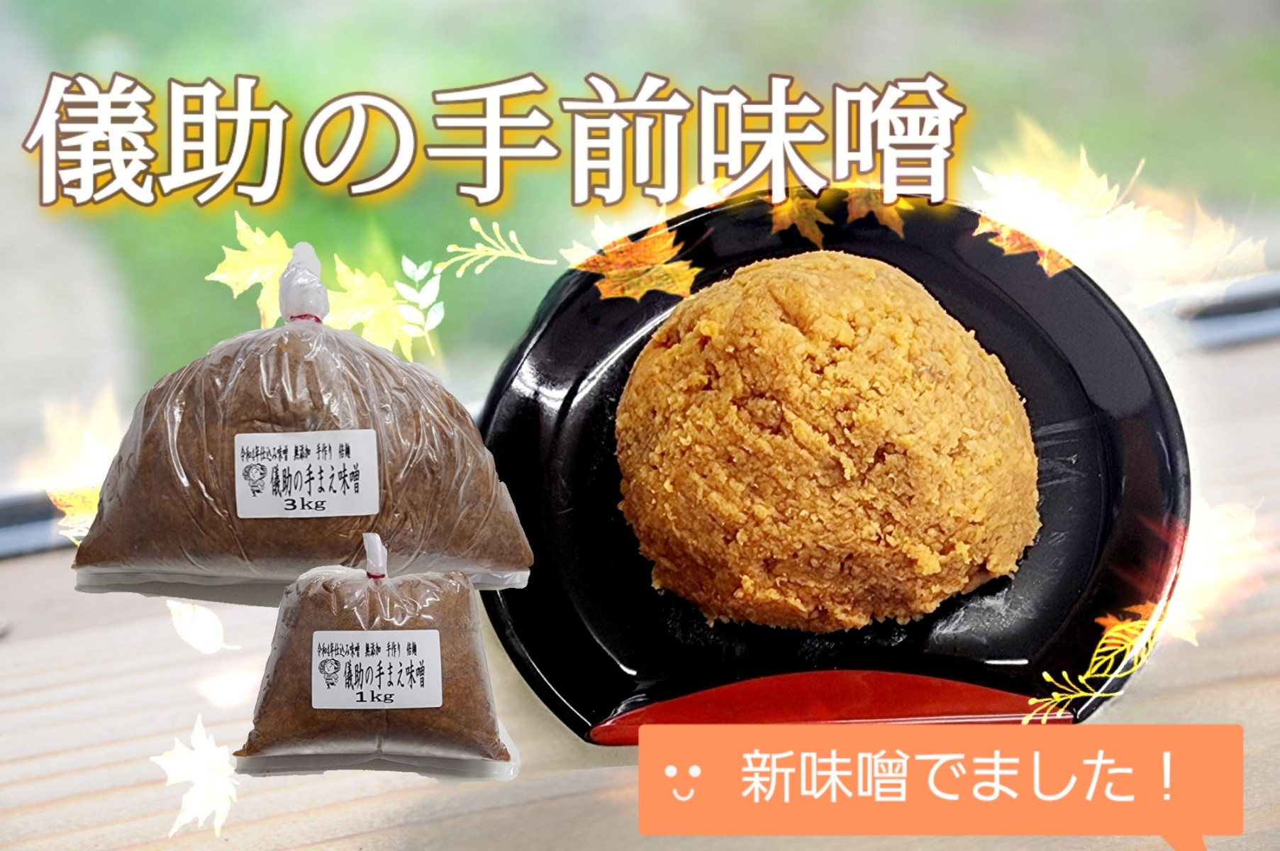 MISO_MAIN