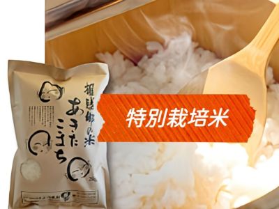 秋田県産あきたこまち 新米 特別栽培米 有機米 中米(白米) ２５kg 楽天市場】令和6年産 特別栽培米 20kg（5kg×4袋）秋田県大潟村産