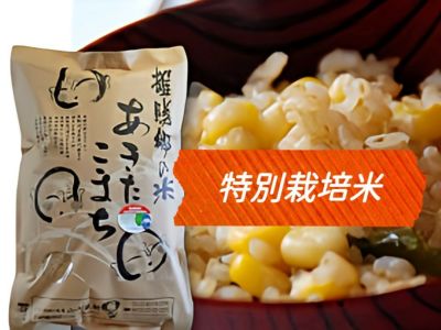 玄米 あきたこまち雄勝郷の米 特別栽培米 5kg 令和6年産秋田県産 玄米 あきたこまち雄勝郷の米 特別栽培米 5kg 令和6年産秋田県産