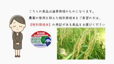 秋田県湯沢市産 小野小町の郷 特別栽培米 あきたこまち 令和6